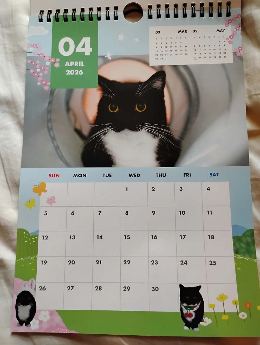 Uni Cat 2026 Calendar Stickers